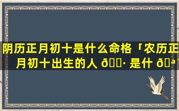 阴历正月初十是什么命格「农历正月初十出生的人 🕷 是什 🪴 么星座」